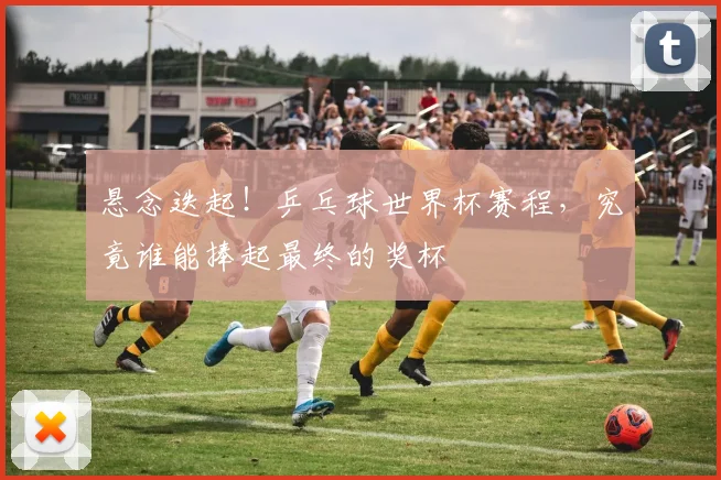 悬念迭起！乒乓球世界杯赛程，究竟谁能捧起最终的奖杯