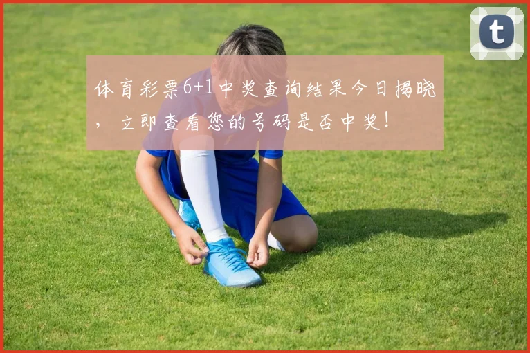 体育彩票6+1中奖查询结果今日揭晓，立即查看您的号码是否中奖！